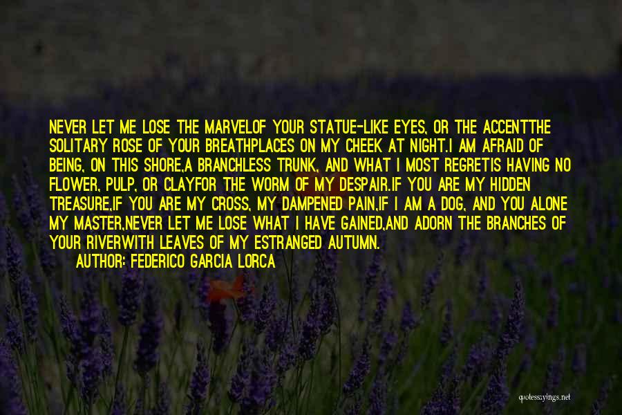 I'm Not Afraid To Lose You Quotes By Federico Garcia Lorca