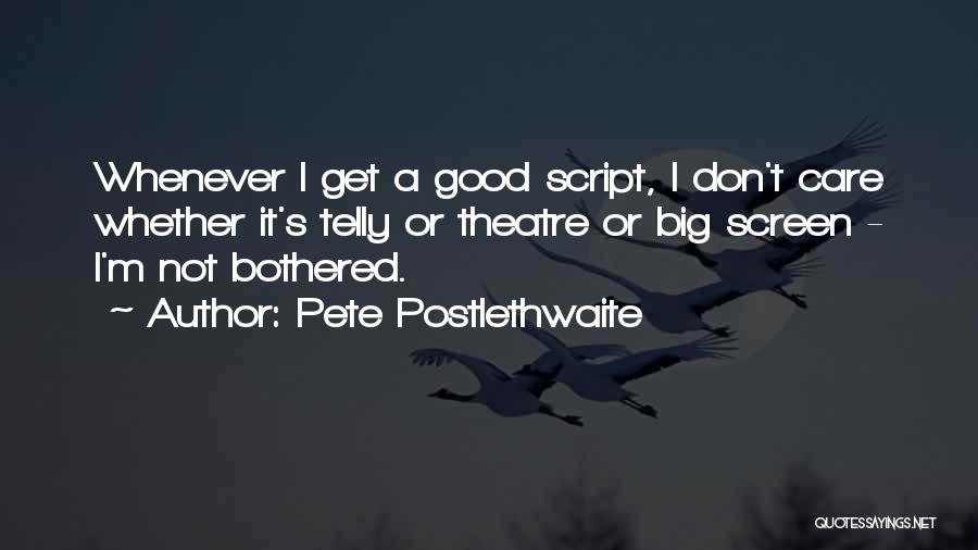 I'm Not Bothered Quotes By Pete Postlethwaite