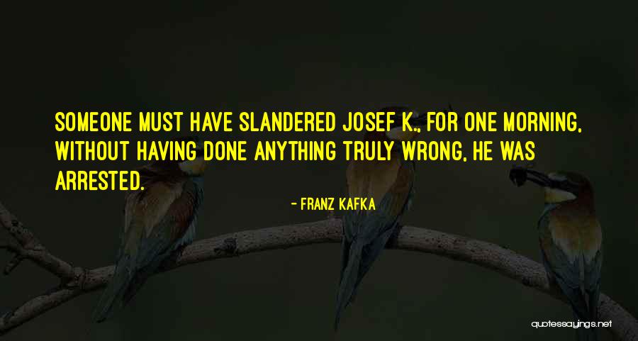 I'm Not Doing Anything Wrong Quotes By Franz Kafka