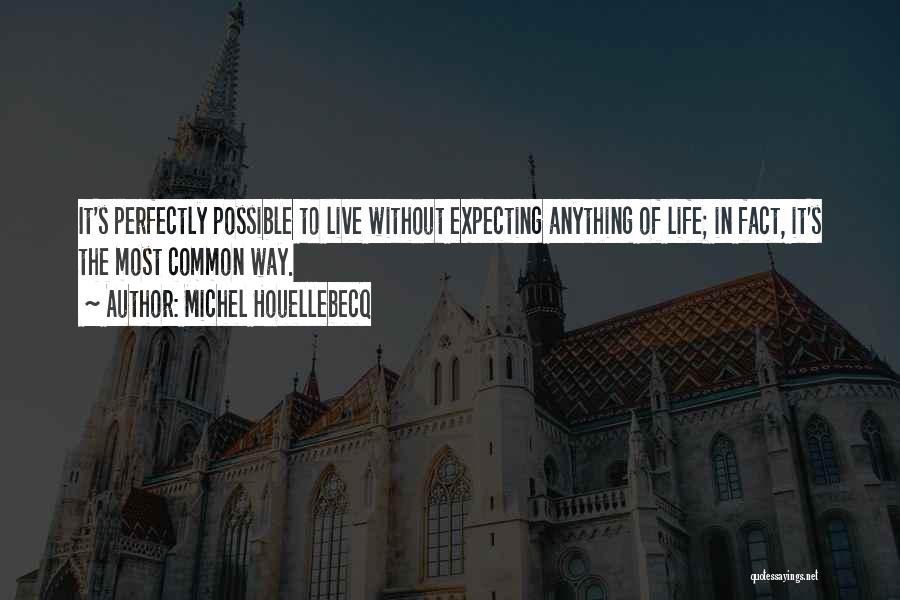 I'm Not Expecting Anything From You Quotes By Michel Houellebecq