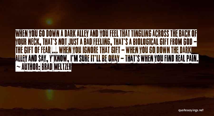 I'm Not Feeling Okay Quotes By Brad Meltzer