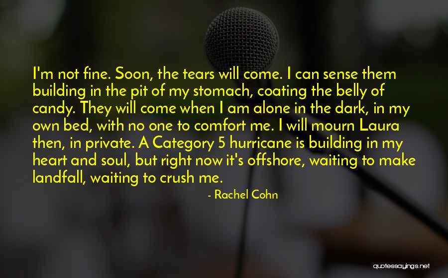 I'm Not Fine Quotes By Rachel Cohn I'm Not Fine Quotes By Rachel Cohn