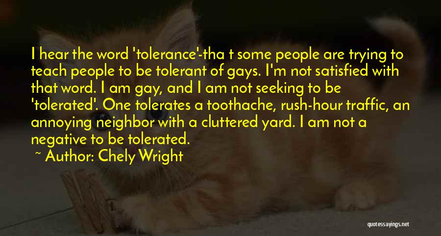 I'm Not Gay Quotes By Chely Wright