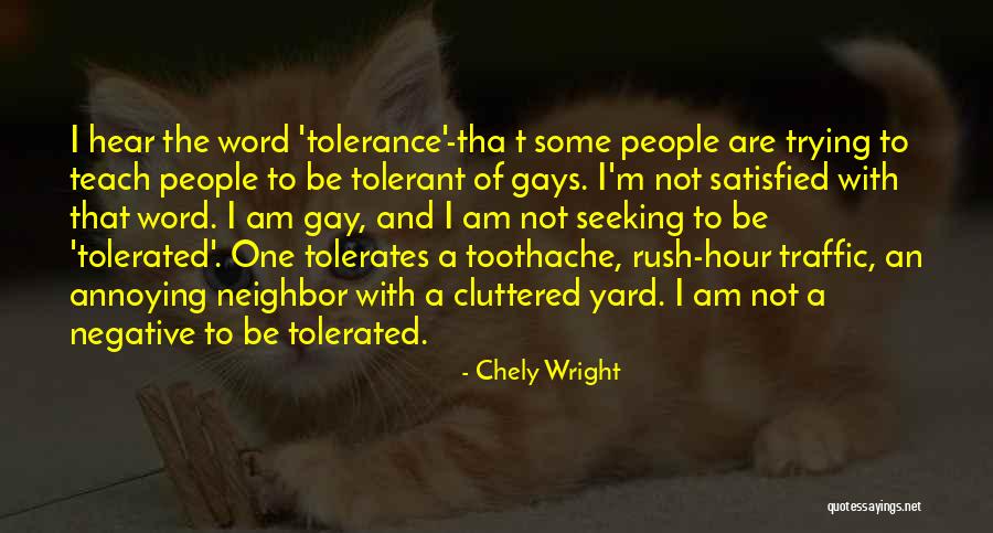 I'm Not Gay Quotes By Chely Wright