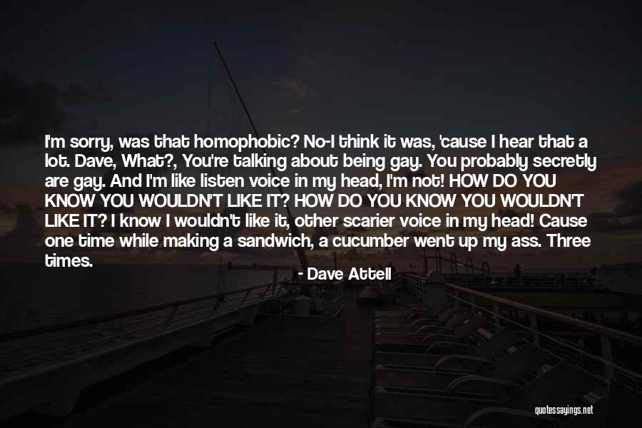 I'm Not Gay Quotes By Dave Attell