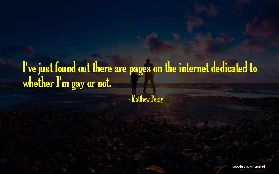 I'm Not Gay Quotes By Matthew Perry