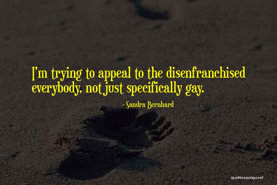 I'm Not Gay Quotes By Sandra Bernhard