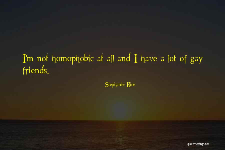 I'm Not Gay Quotes By Stephanie Rice