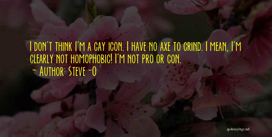 I'm Not Gay Quotes By Steve-O