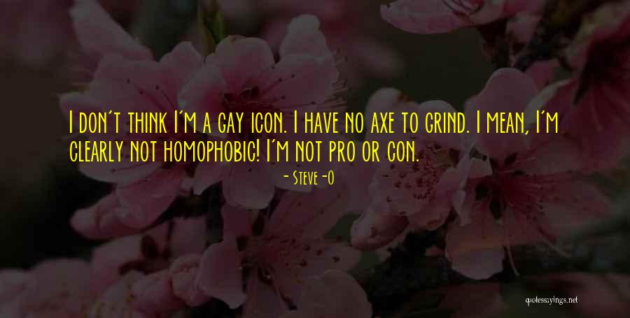 I'm Not Gay Quotes By Steve-O