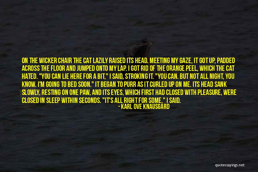 I'm Not Going To Sleep Quotes By Karl Ove Knausgard I'm Not Going To Sleep Quotes By Karl Ove Knausgard
