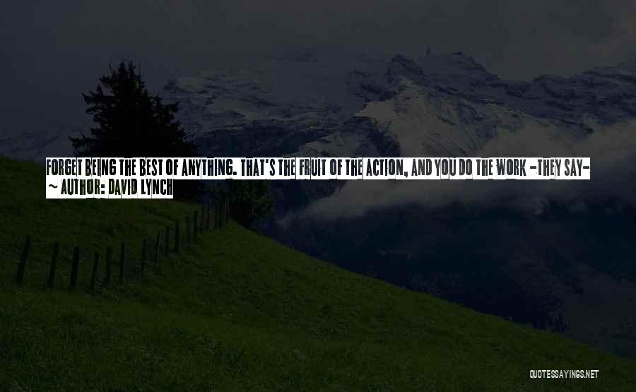 I'm Not Gonna Say Anything Quotes By David Lynch