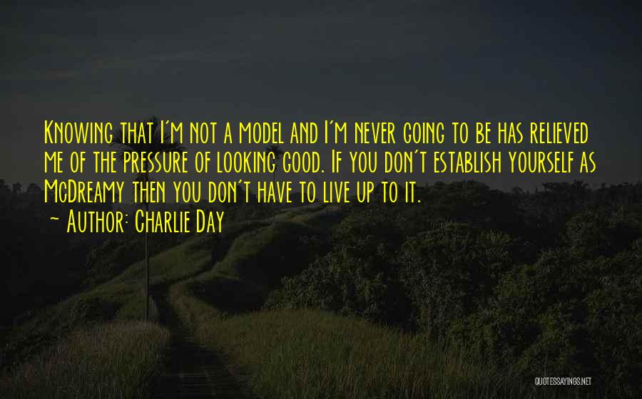 I'm Not Good Looking Quotes By Charlie Day