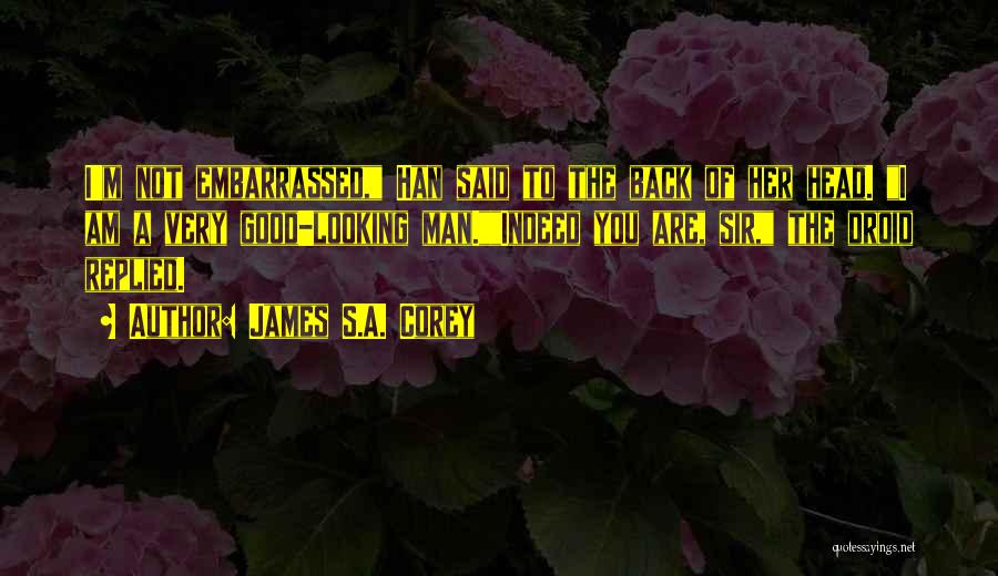 I'm Not Good Looking Quotes By James S.A. Corey