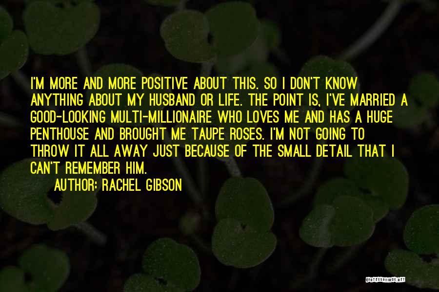 I'm Not Good Looking Quotes By Rachel Gibson