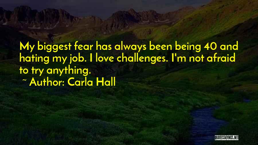 I'm Not Hating Quotes By Carla Hall
