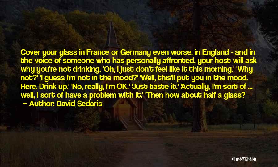 I'm Not In The Mood Quotes By David Sedaris