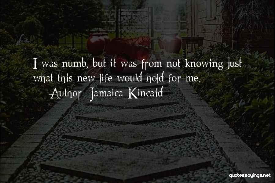 I'm Not Numb Quotes By Jamaica Kincaid