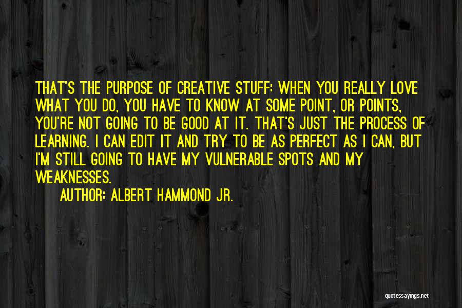 I'm Not Perfect But I Love You Quotes By Albert Hammond Jr.
