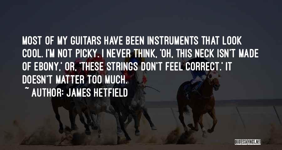 I'm Not Picky Quotes By James Hetfield