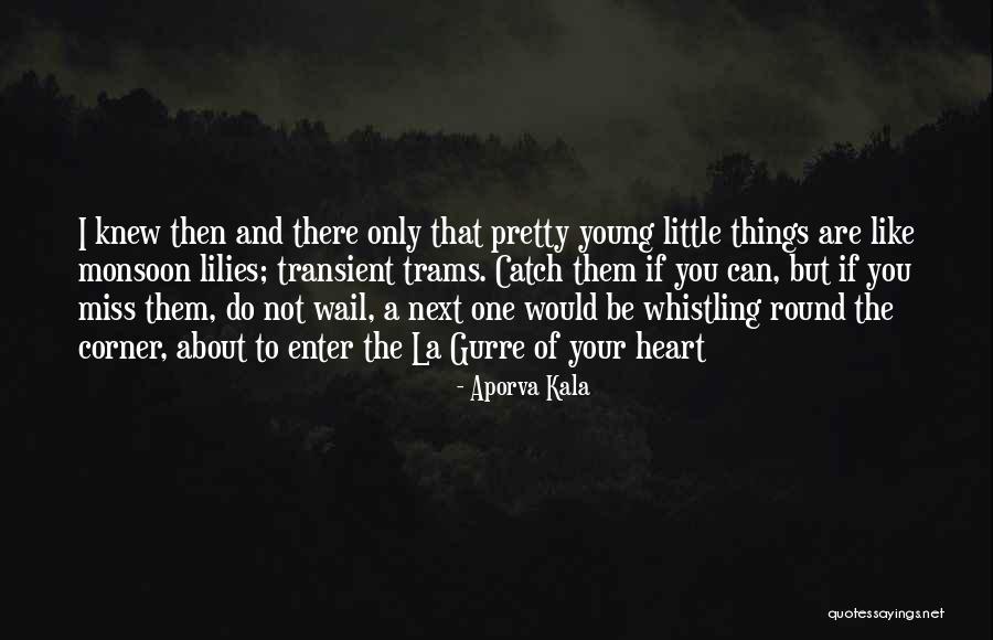 I'm Not Pretty But I Love You Quotes By Aporva Kala I'm Not Pretty But I Love You Quotes By Aporva Kala