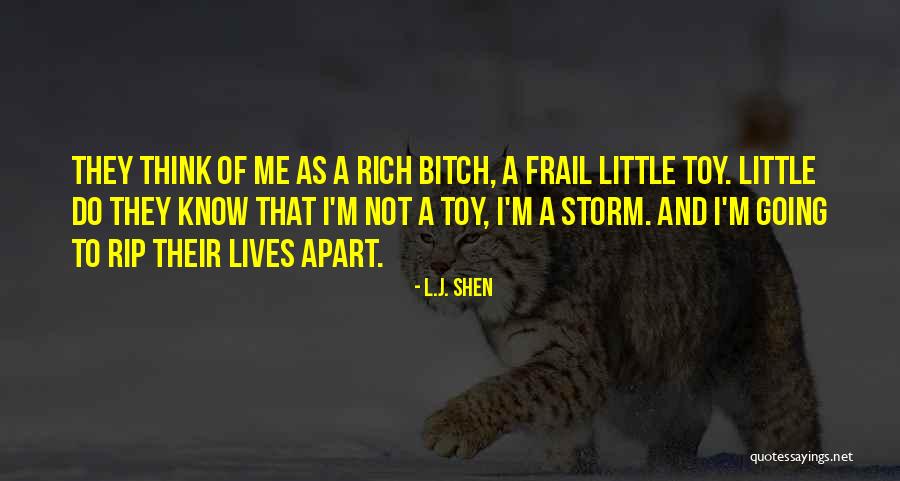I'm Not Rich Quotes By L.J. Shen I'm Not Rich Quotes By L.J. Shen