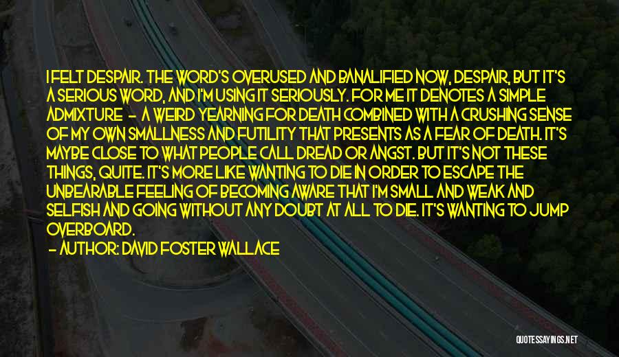 I'm Not Simple Quotes By David Foster Wallace