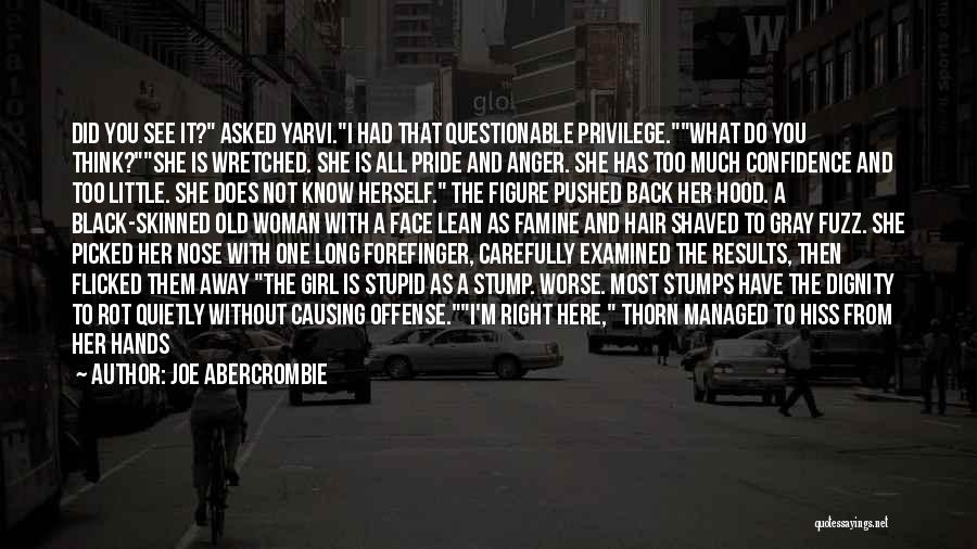 I'm Not Stupid You Think Quotes By Joe Abercrombie