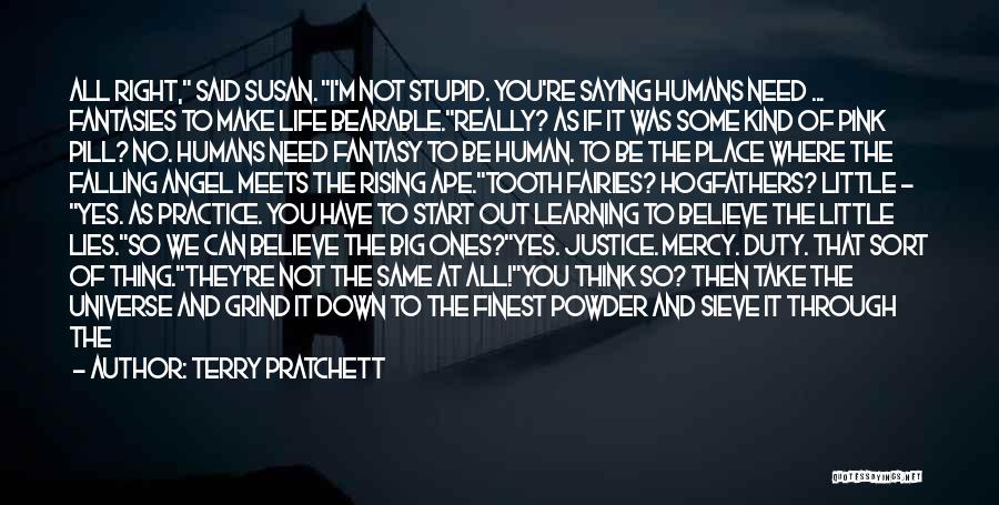 I'm Not Stupid You Think Quotes By Terry Pratchett