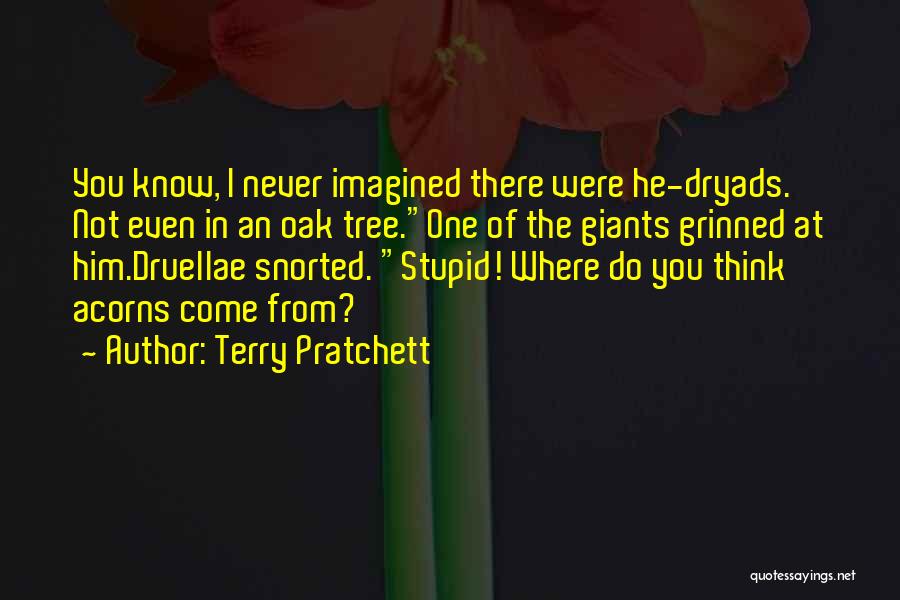 I'm Not Stupid You Think Quotes By Terry Pratchett