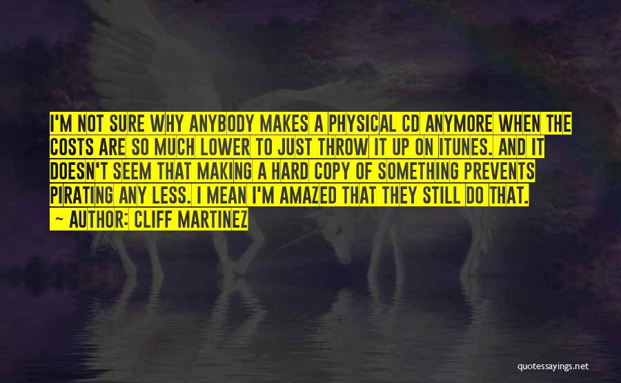 I'm Not Sure Anymore Quotes By Cliff Martinez