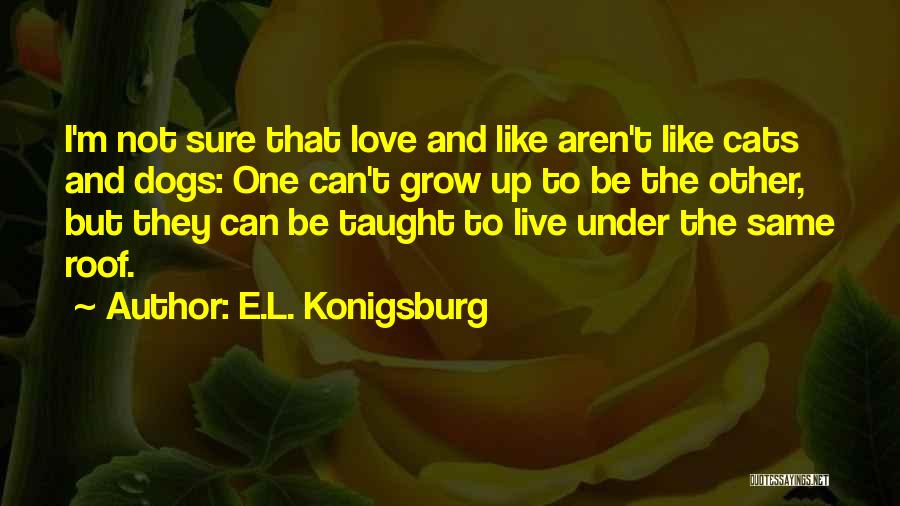 I'm Not Sure Love Quotes By E.L. Konigsburg