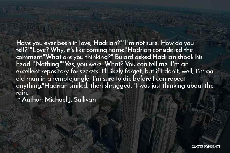 I'm Not Sure Love Quotes By Michael J. Sullivan