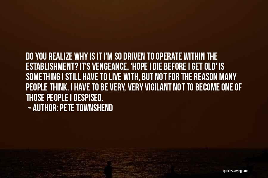 I'm Not The One For You Quotes By Pete Townshend