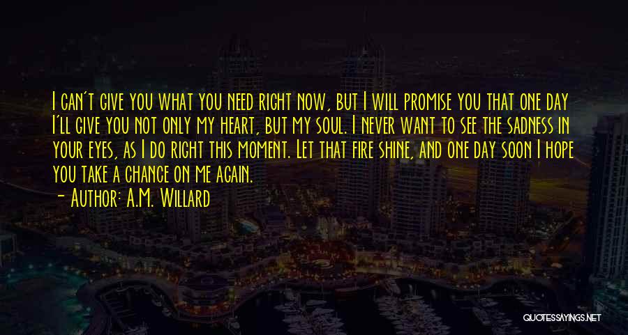 I'm Not The One You Need Quotes By A.M. Willard