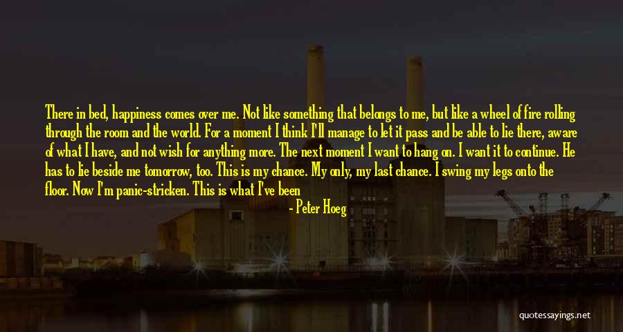 I'm Not Worth It Quotes By Peter Hoeg