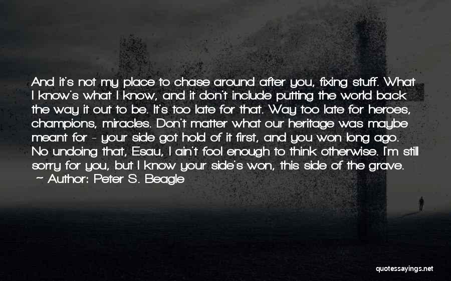 I'm Not Your Fool Quotes By Peter S. Beagle