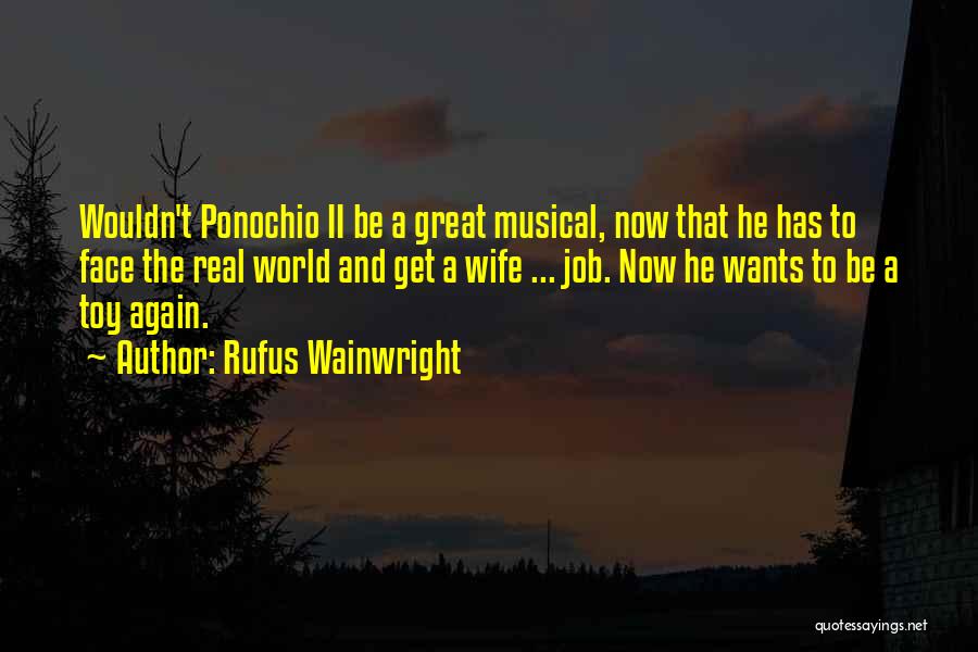 I'm Not Your Toy Quotes By Rufus Wainwright