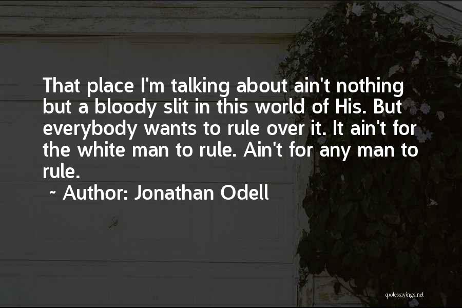 I'm Nothing In This World Quotes By Jonathan Odell