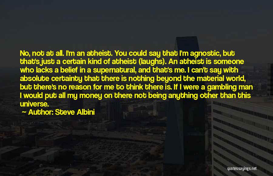 I'm Nothing In This World Quotes By Steve Albini