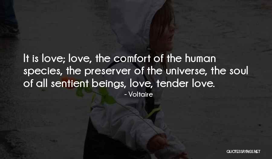 Im Nothing Without God Quotes By Voltaire Im Nothing Without God Quotes By Voltaire