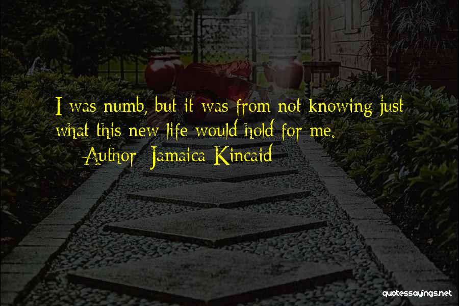 I'm Numb Quotes By Jamaica Kincaid