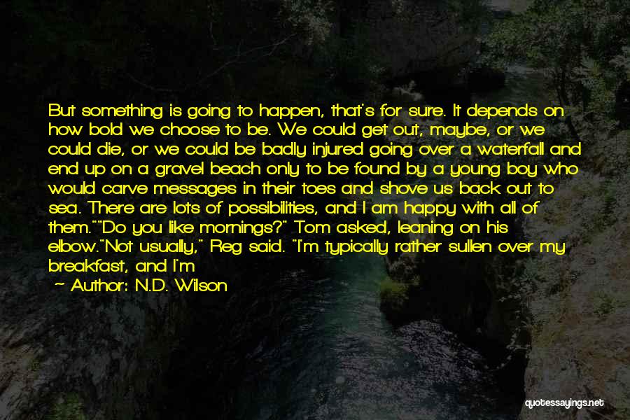 I'm Only Happy When I'm With You Quotes By N.D. Wilson