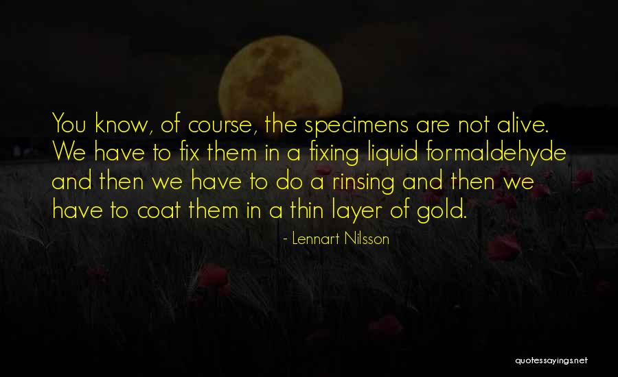 Im Original Quotes By Lennart Nilsson Im Original Quotes By Lennart Nilsson