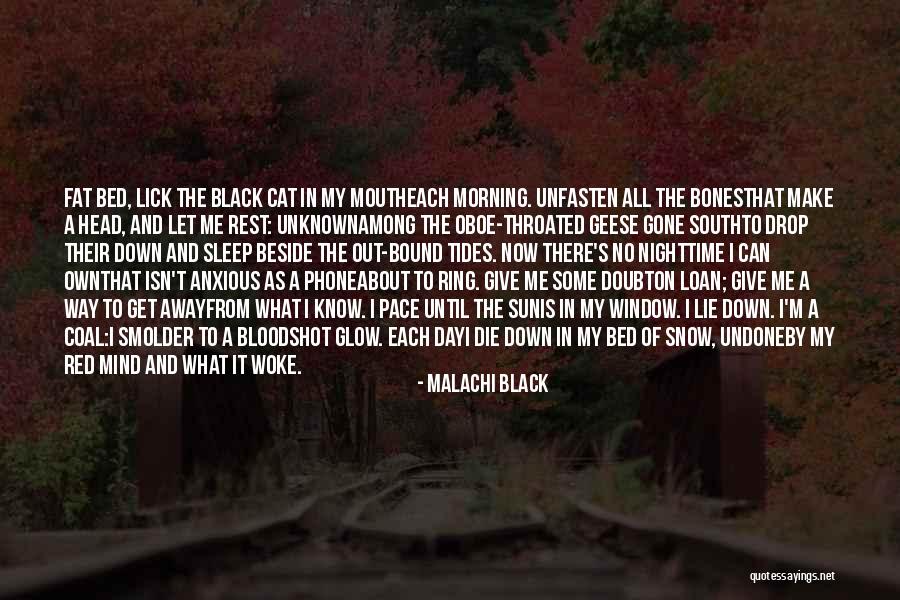 I'm Out Of My Mind Quotes By Malachi Black