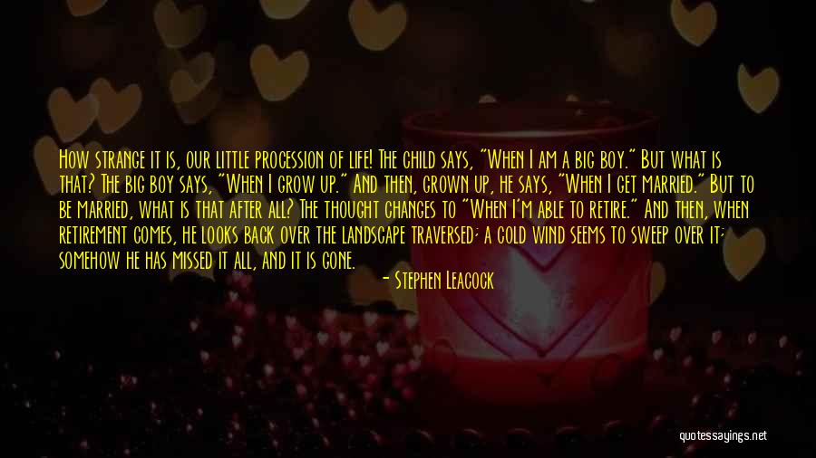 I'm Over Life Quotes By Stephen Leacock