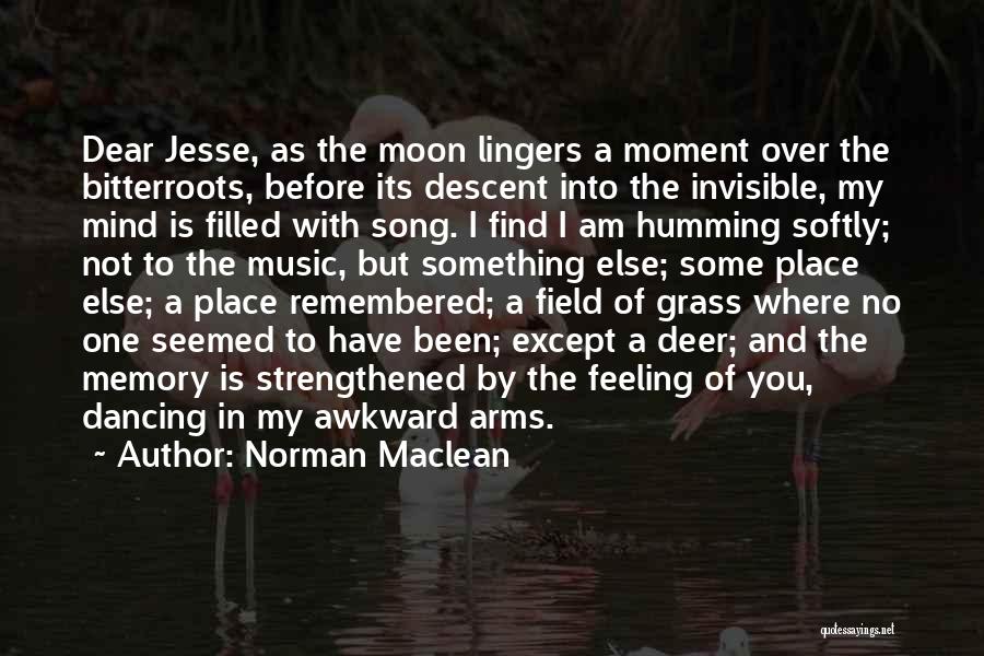 I'm Over The Moon Quotes By Norman Maclean