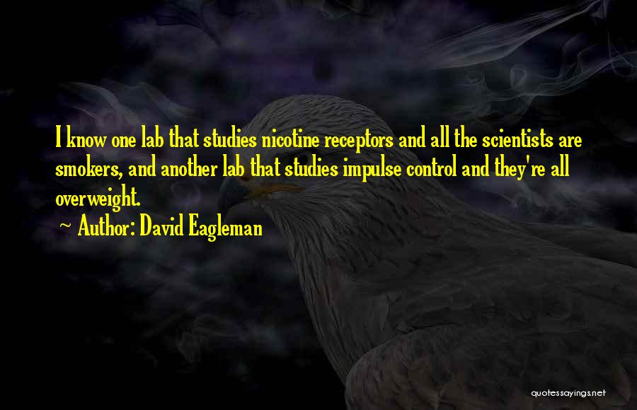 I'm Overweight Quotes By David Eagleman