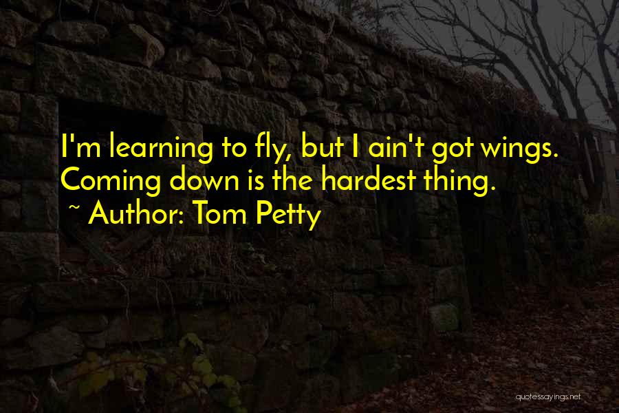 I'm Petty Quotes By Tom Petty