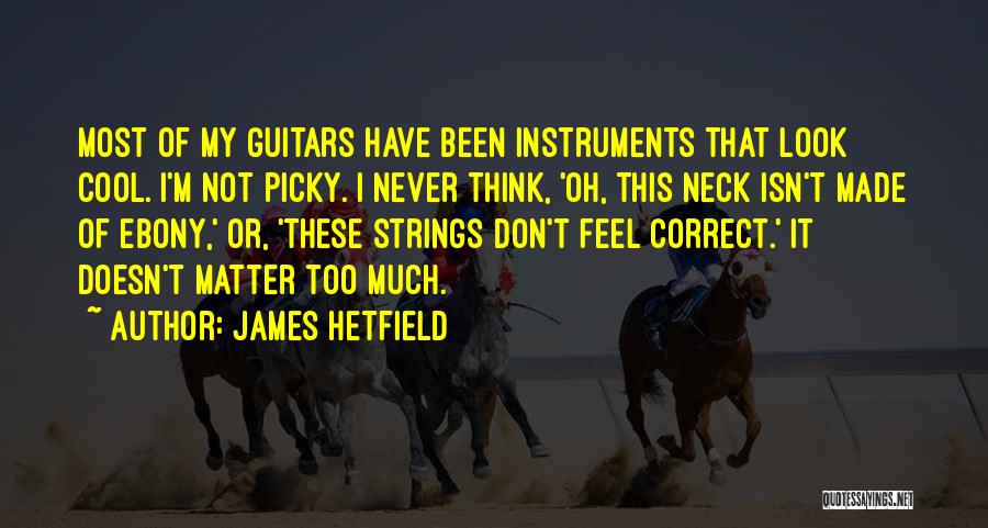 I'm Picky Quotes By James Hetfield